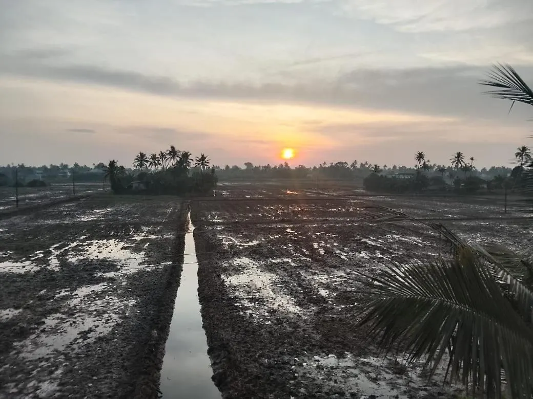 Kathoo'S Lakeview Homestay Alappuzha 印度